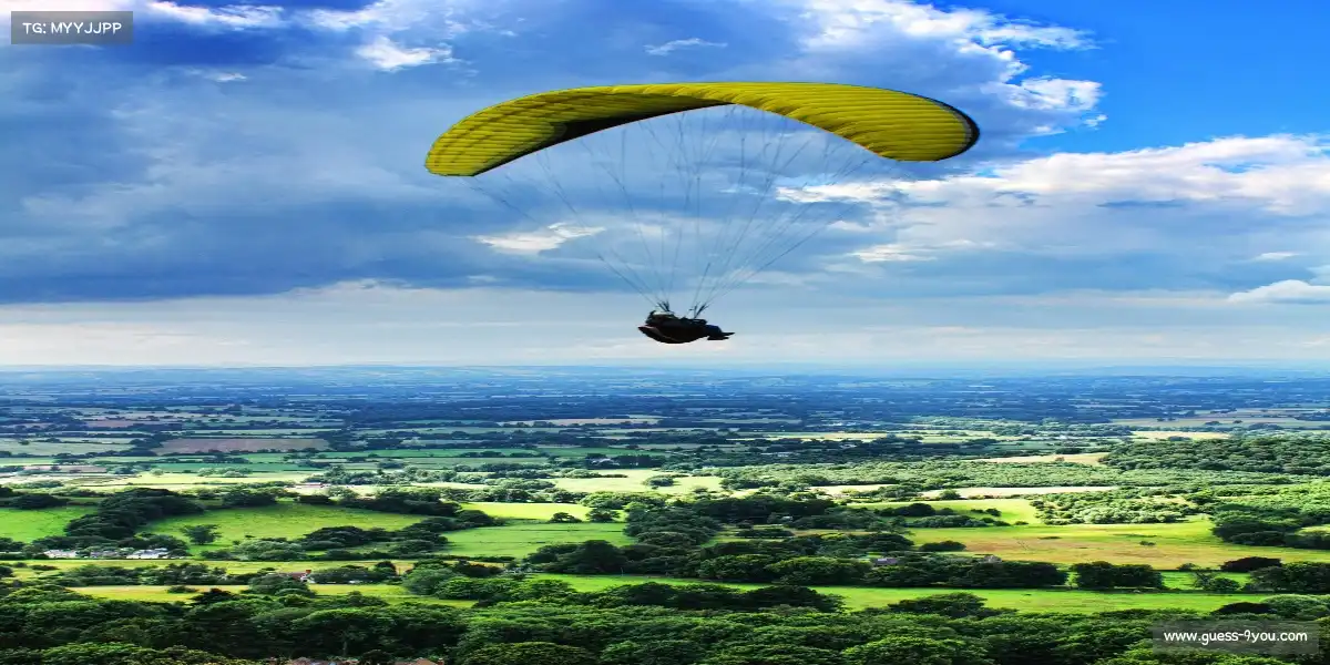 九游官网——🚣♀️💦 双桨翻飞,劈波斩浪!